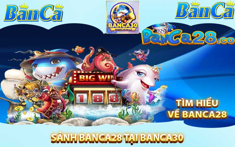 banca28