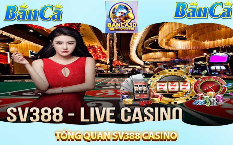 Tổng quan sv388 casino